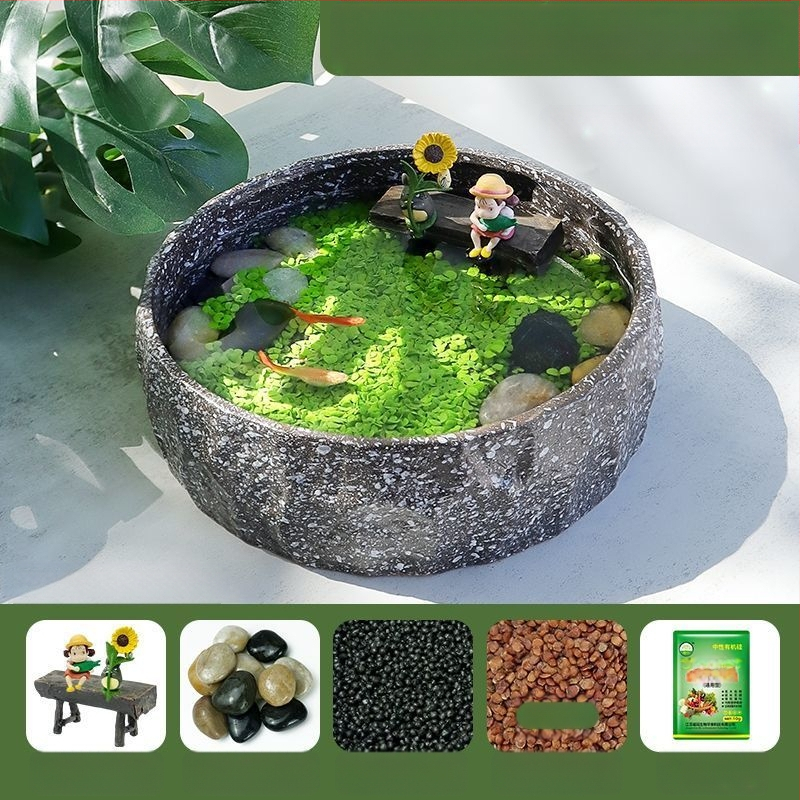 Senovinis metodas, cilindras, mikropeizažas, pasaka, kraštovaizdžio papuošalai, maži namų ūkiai, kūrybingi ekologiški vandens augalai, dekoratyviniai hidroponiniai augalų peizažai