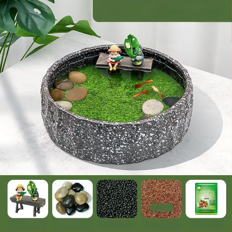 Senovinis metodas, cilindras, mikropeizažas, pasaka, kraštovaizdžio papuošalai, maži namų ūkiai, kūrybingi ekologiški vandens augalai, dekoratyviniai hidroponiniai augalų peizažai