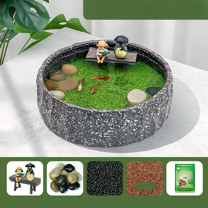 Senovinis metodas, cilindras, mikropeizažas, pasaka, kraštovaizdžio papuošalai, maži namų ūkiai, kūrybingi ekologiški vandens augalai, dekoratyviniai hidroponiniai augalų peizažai