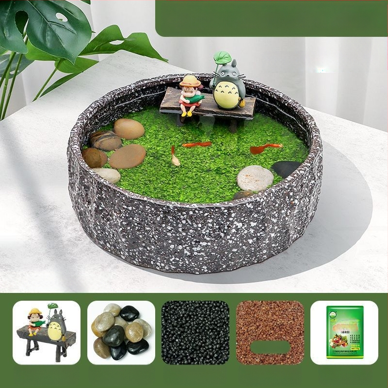 Senovinis metodas, cilindras, mikropeizažas, pasaka, kraštovaizdžio papuošalai, maži namų ūkiai, kūrybingi ekologiški vandens augalai, dekoratyviniai hidroponiniai augalų peizažai