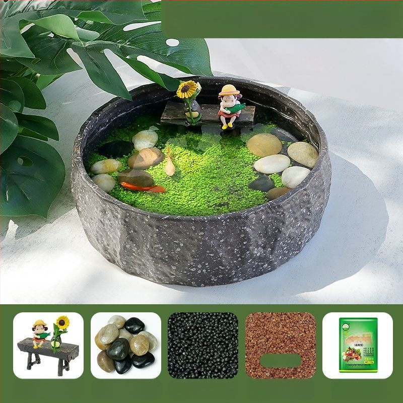 Senovinis metodas, cilindras, mikropeizažas, pasaka, kraštovaizdžio papuošalai, maži namų ūkiai, kūrybingi ekologiški vandens augalai, dekoratyviniai hidroponiniai augalų peizažai