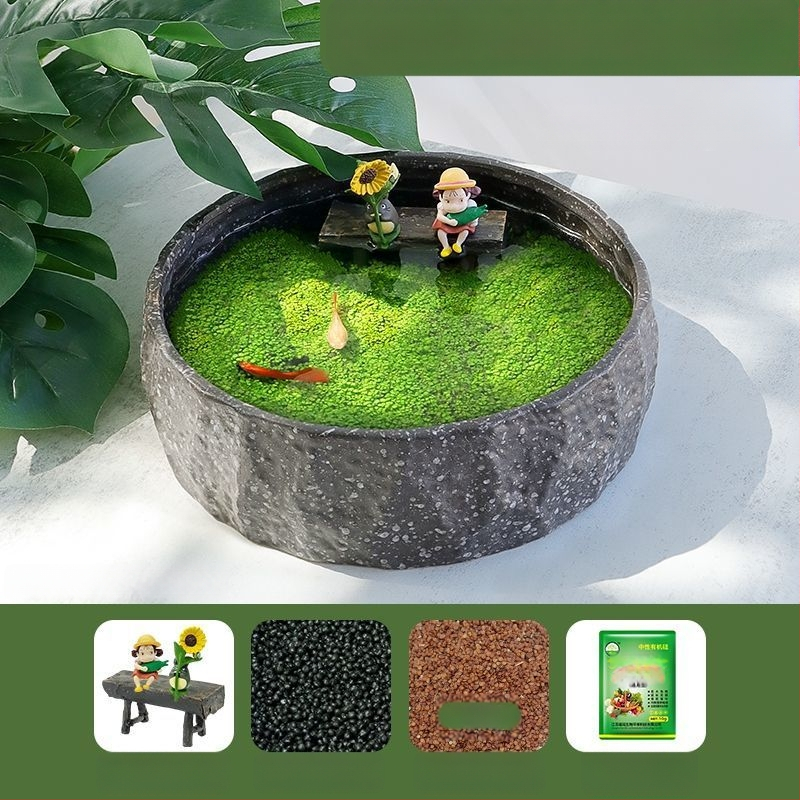 Senovinis metodas, cilindras, mikropeizažas, pasaka, kraštovaizdžio papuošalai, maži namų ūkiai, kūrybingi ekologiški vandens augalai, dekoratyviniai hidroponiniai augalų peizažai