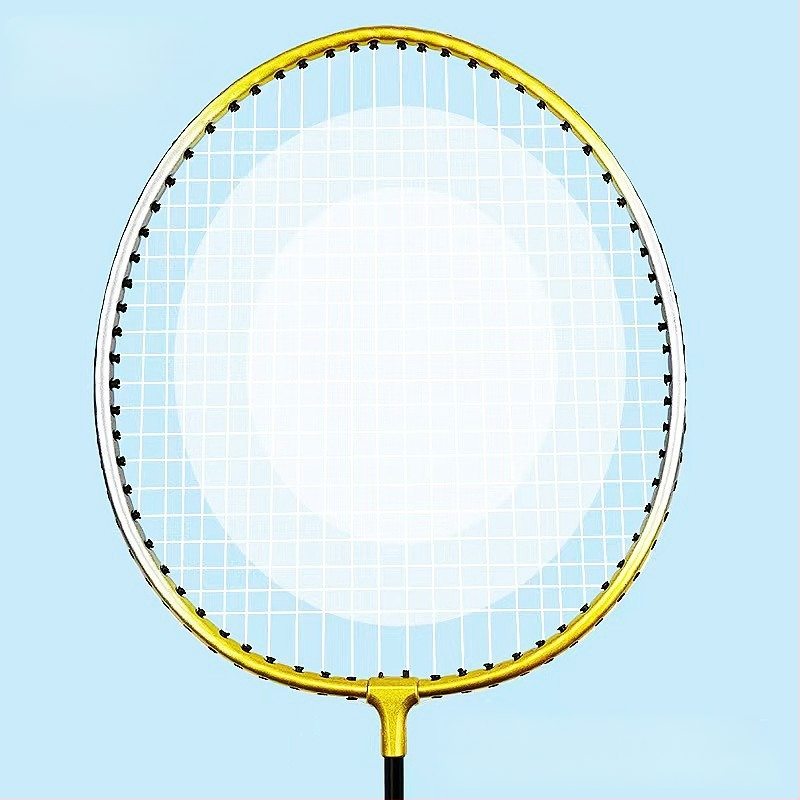 Sprogimai sandėlyje suaugusiųjų badmintono raketė studentams pradedantiesiems, treniruotėms, ferolydinio padalinta raketė, plaukų karta