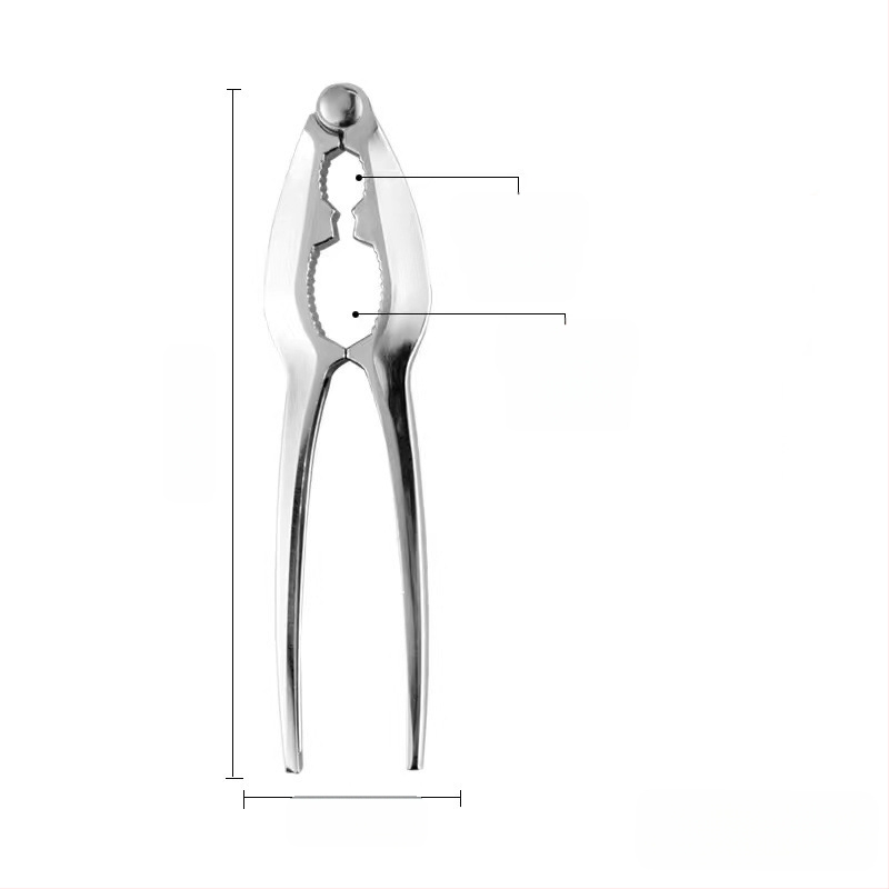 Nerūdijančio plieno džiovintų vaisių spaustukas kedro riešutų spaustukas buitinis graikinių riešutų spaustukas lazdyno riešutų mažos pekano riešutų replės atviros didmeninė prekyba