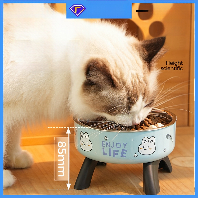 Kassi kõrge kauss kaelakaitsega kassikauss lemmikloomale roostevabast terasest kauss libisemisvastane ümberminekuvastane koerakauss koeratoidukleit piiriülene uus stiil