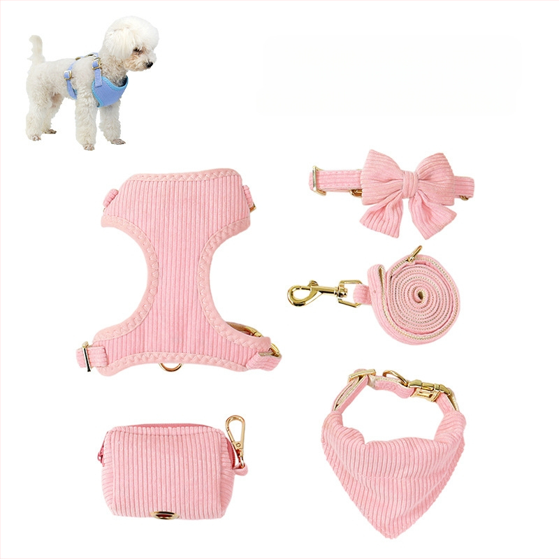 Piiriülene vest koerarihm väikesele ja keskmise suurusega koerale Bixie Teddy kutsika rinnarihm koerarihm koerakett