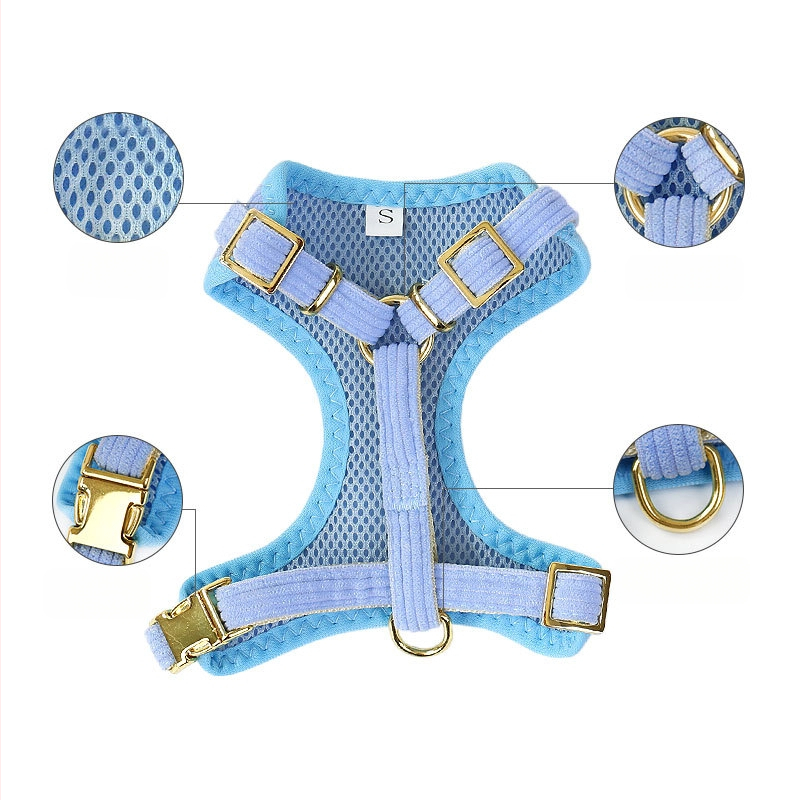 Piiriülene vest koerarihm väikesele ja keskmise suurusega koerale Bixie Teddy kutsika rinnarihm koerarihm koerakett