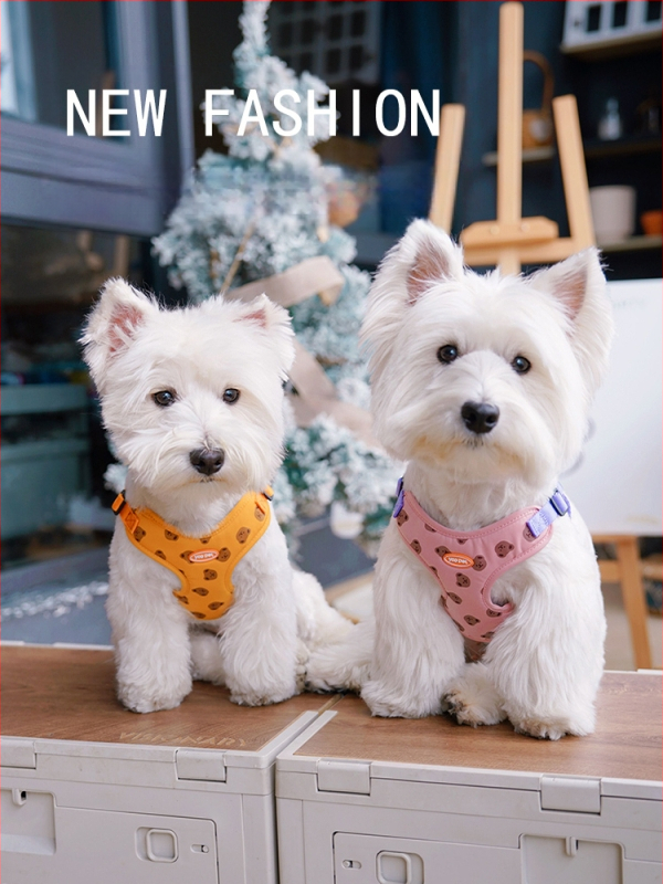 Koerarihma vest Jalutusrihma rihm Väikesele koerale Keskmise suurusega koerale Rinnarihm Koerarihm Teddy koerakett