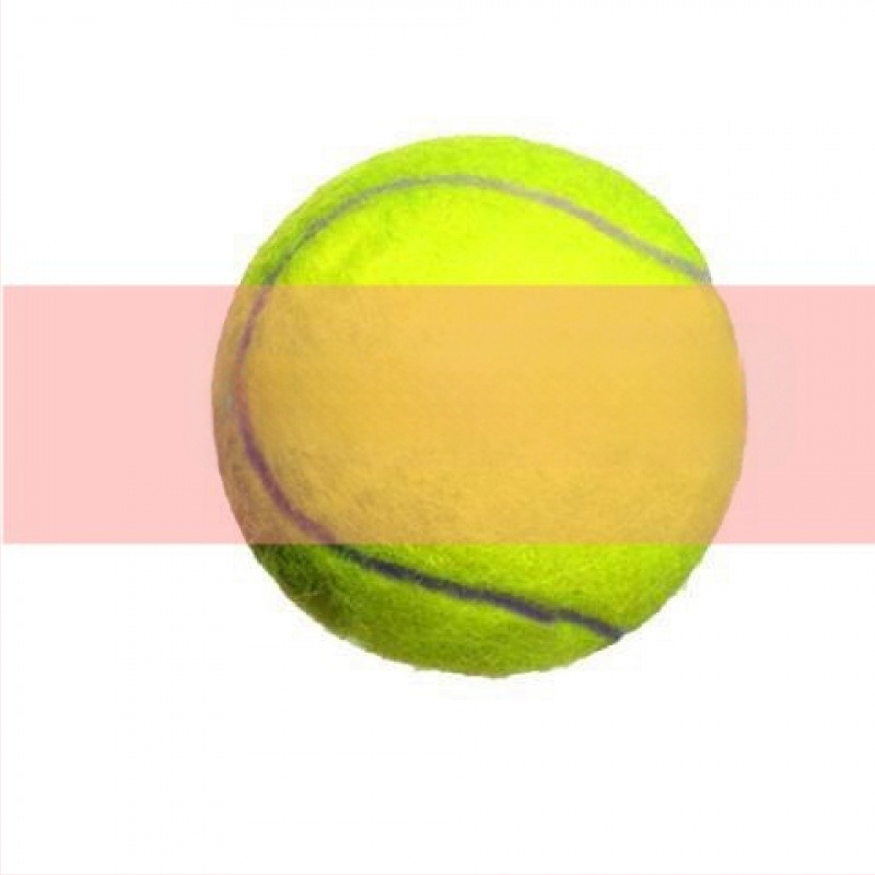 Tere tulemast 969 tennise jaoks, elastne ja vastupidav treeningnöörivaba keskkooli võistlus, eriline spordihulgimüük