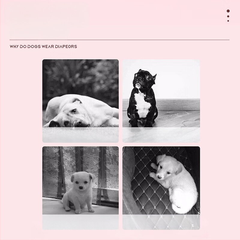 Koerte füsioloogilised mähkmed emastele ja isastele koertele, lemmikloomade hügieenisidemed, hingavad mähkmepüksid