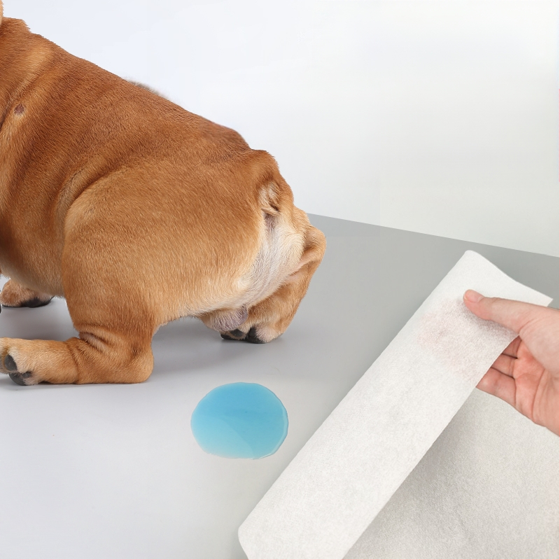 Tampoane absorbante pentru urină de animale, Hârtie absorbantă pentru urină, Scutece pentru câini, Hârtie absorbantă pentru ștergerea urinei, Hârtie absorbantă pentru pisici și câini, Hârtie absorbantă pentru urină de câine, Produse de curățare absorbante 