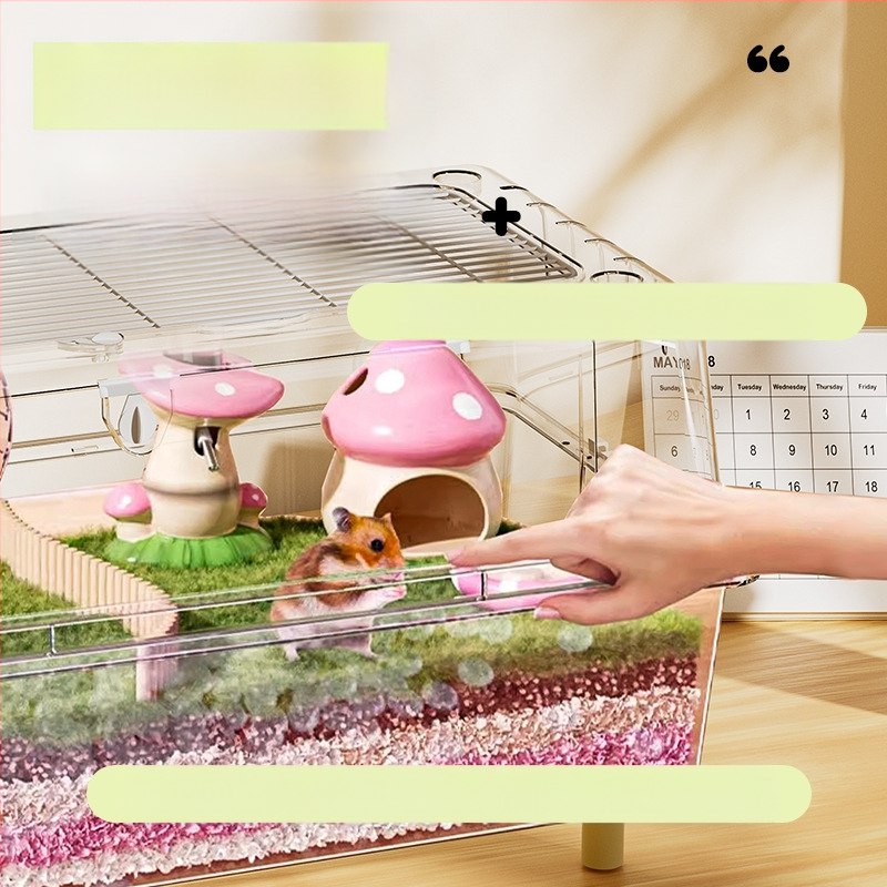 Hamsteripuur akrüülist panoraamvaatega läbipaistev luksuslik villa eriruum kuldkarule 60 põhipuuri söögikasti tarvikud