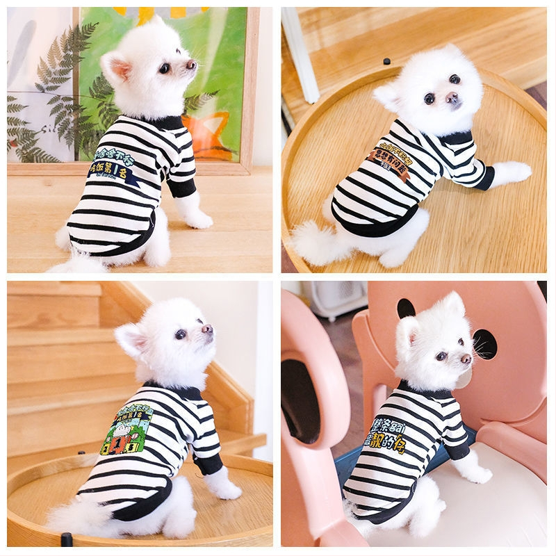 Дрехи за кучета за есен и зима, есенни и зимни стилове за котки, плюшено мече, бишон, померан, малки кучета, кученца, домашни любимци, пролетни и есенни стилове