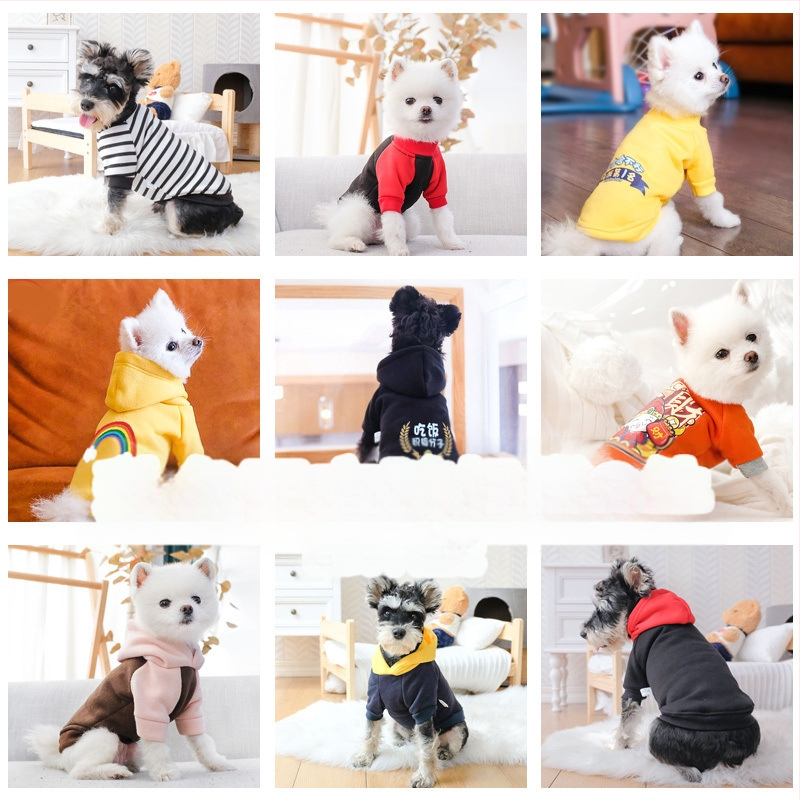 Дрехи за кучета за есен и зима, есенни и зимни стилове за котки, плюшено мече, бишон, померан, малки кучета, кученца, домашни любимци, пролетни и есенни стилове