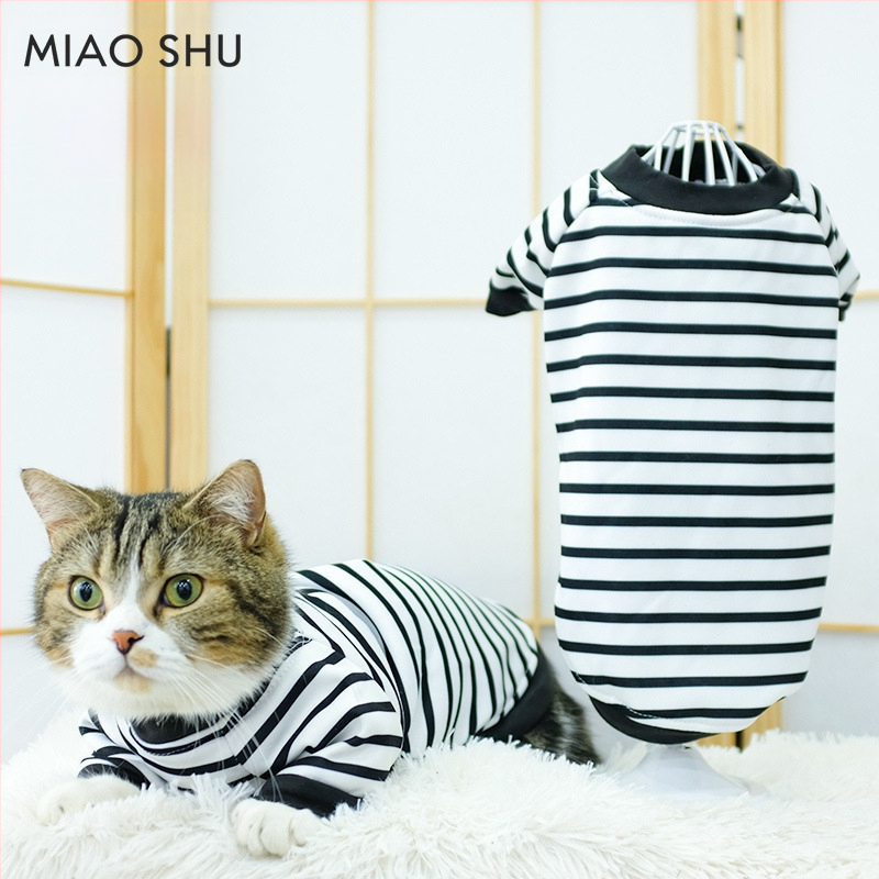 Дрехи за кучета за есен и зима, есенни и зимни стилове за котки, плюшено мече, бишон, померан, малки кучета, кученца, домашни любимци, пролетни и есенни стилове