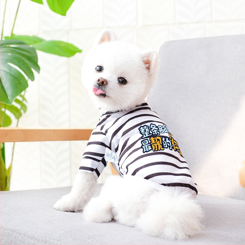 Дрехи за кучета за есен и зима, есенни и зимни стилове за котки, плюшено мече, бишон, померан, малки кучета, кученца, домашни любимци, пролетни и есенни стилове