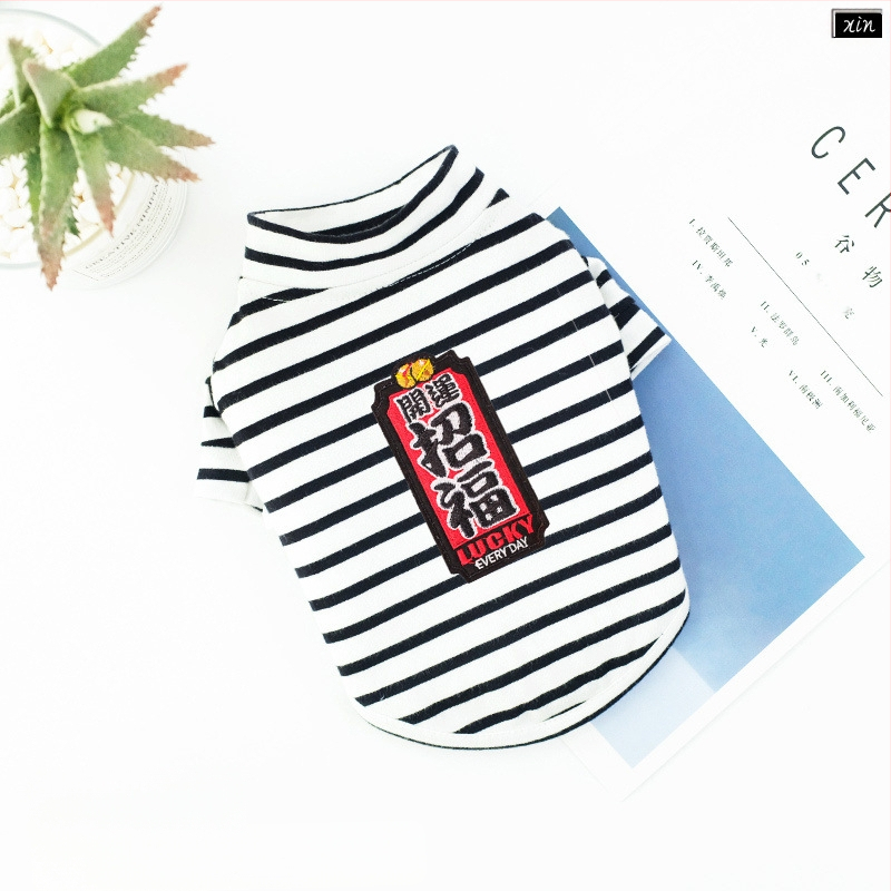 Дрехи за кучета за есен и зима, есенни и зимни стилове за котки, плюшено мече, бишон, померан, малки кучета, кученца, домашни любимци, пролетни и есенни стилове