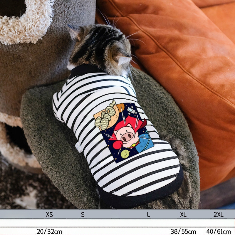 Дрехи за кучета за есен и зима, есенни и зимни стилове за котки, плюшено мече, бишон, померан, малки кучета, кученца, домашни любимци, пролетни и есенни стилове