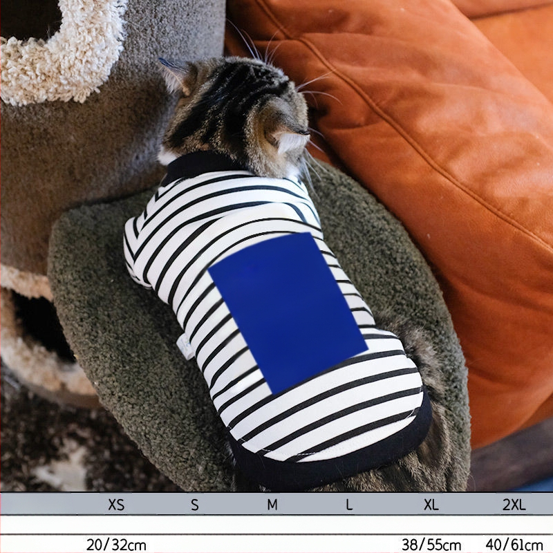 Дрехи за кучета за есен и зима, есенни и зимни стилове за котки, плюшено мече, бишон, померан, малки кучета, кученца, домашни любимци, пролетни и есенни стилове