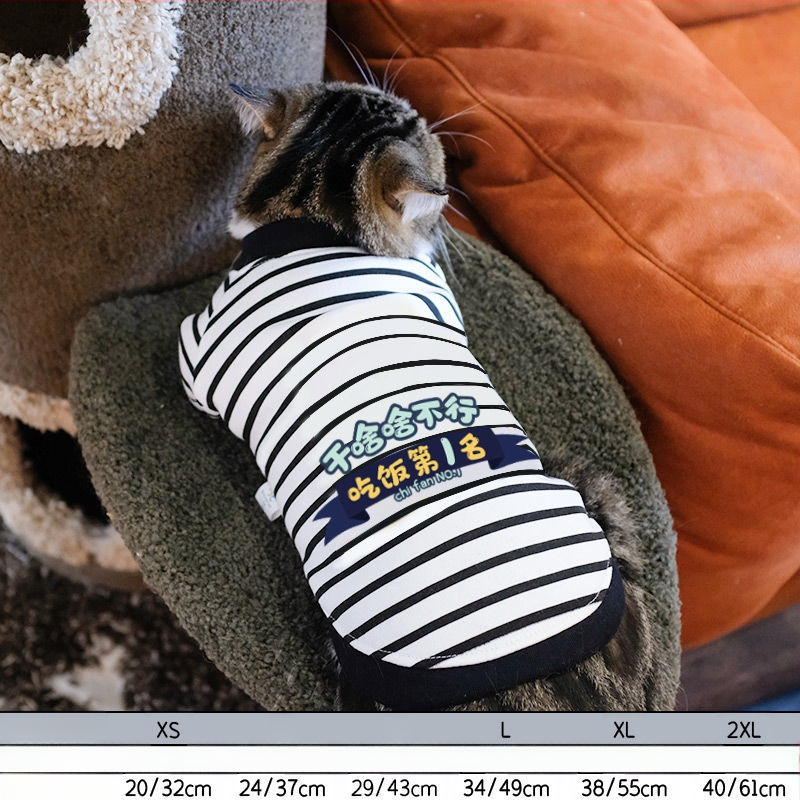 Дрехи за кучета за есен и зима, есенни и зимни стилове за котки, плюшено мече, бишон, померан, малки кучета, кученца, домашни любимци, пролетни и есенни стилове