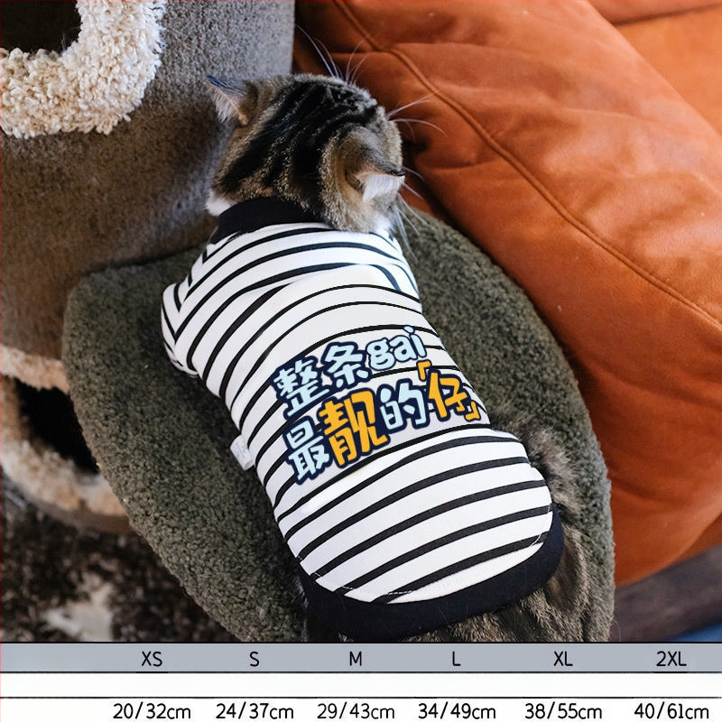 Дрехи за кучета за есен и зима, есенни и зимни стилове за котки, плюшено мече, бишон, померан, малки кучета, кученца, домашни любимци, пролетни и есенни стилове