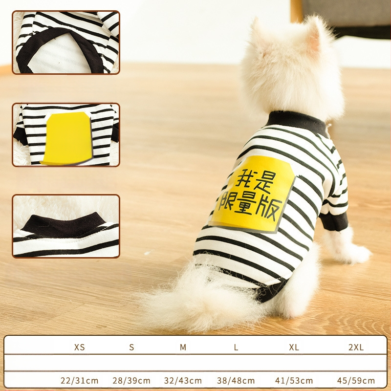 Дрехи за кучета за есен и зима, есенни и зимни стилове за котки, плюшено мече, бишон, померан, малки кучета, кученца, домашни любимци, пролетни и есенни стилове