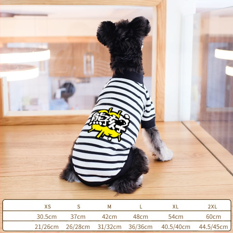 Дрехи за кучета за есен и зима, есенни и зимни стилове за котки, плюшено мече, бишон, померан, малки кучета, кученца, домашни любимци, пролетни и есенни стилове