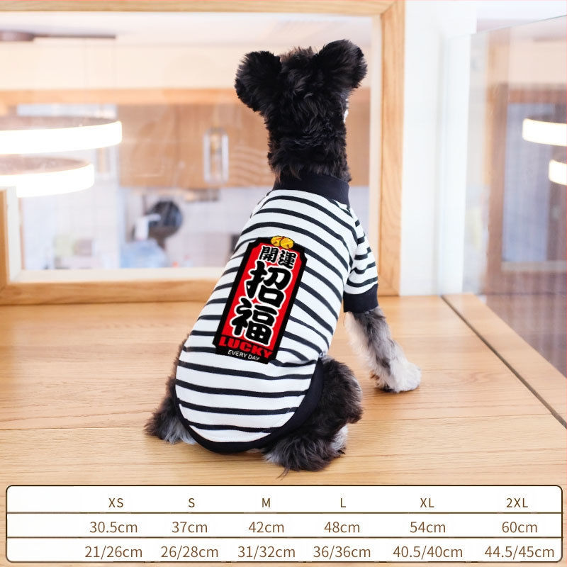 Дрехи за кучета за есен и зима, есенни и зимни стилове за котки, плюшено мече, бишон, померан, малки кучета, кученца, домашни любимци, пролетни и есенни стилове