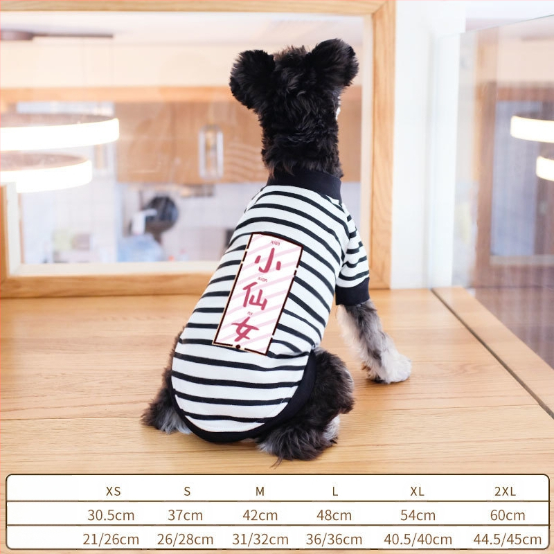 Дрехи за кучета за есен и зима, есенни и зимни стилове за котки, плюшено мече, бишон, померан, малки кучета, кученца, домашни любимци, пролетни и есенни стилове