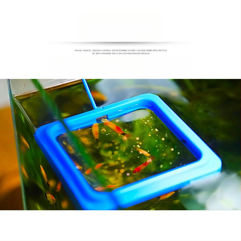 Žuvų akvariumo tiektuvas Žuvų tiektuvas Gupijų plūduriuojantis šėrimo žiedas Maitinimas Krevečių maitinimas Maitinimas Maitinimas Maitinimas Maitinimas Maitinimas Maitinimas Maitinimas Maitinimas Maitinimas Maitinimas