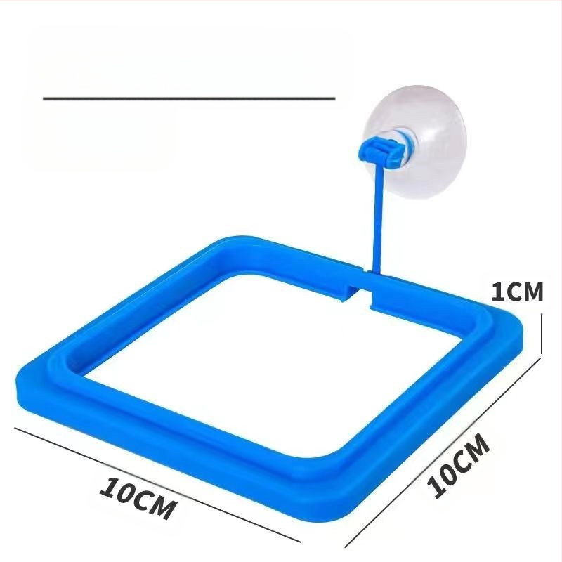 Žuvų akvariumo tiektuvas Žuvų tiektuvas Gupijų plūduriuojantis šėrimo žiedas Maitinimas Krevečių maitinimas Maitinimas Maitinimas Maitinimas Maitinimas Maitinimas Maitinimas Maitinimas Maitinimas Maitinimas Maitinimas