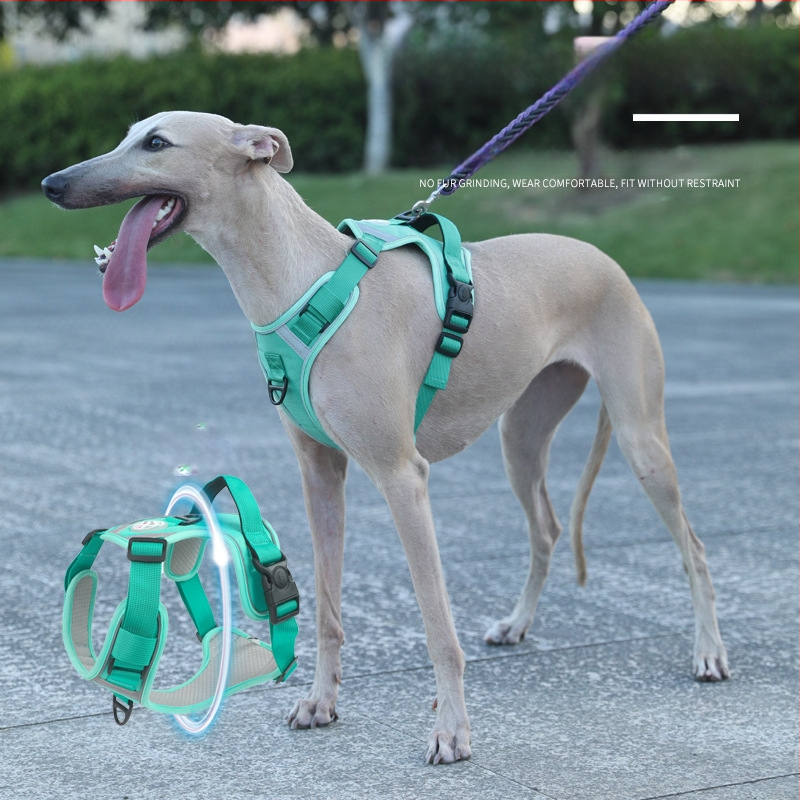 Nový cezhraničný hrudný popruh pre veľkých psov, protišmyková vesta odolná voči výbuchu, priedušná vesta s produktmi pre domáce zvieratá