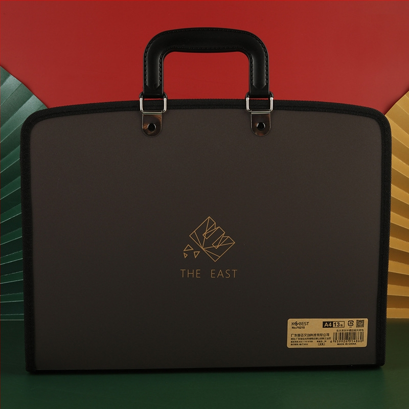 Armas õpilasele mõeldud käeshoitav testikirjaklamber, 13 ruuduga lukuga akordionikott, mahukas klassifitseerimise ja korraldamise kosmeetikakott