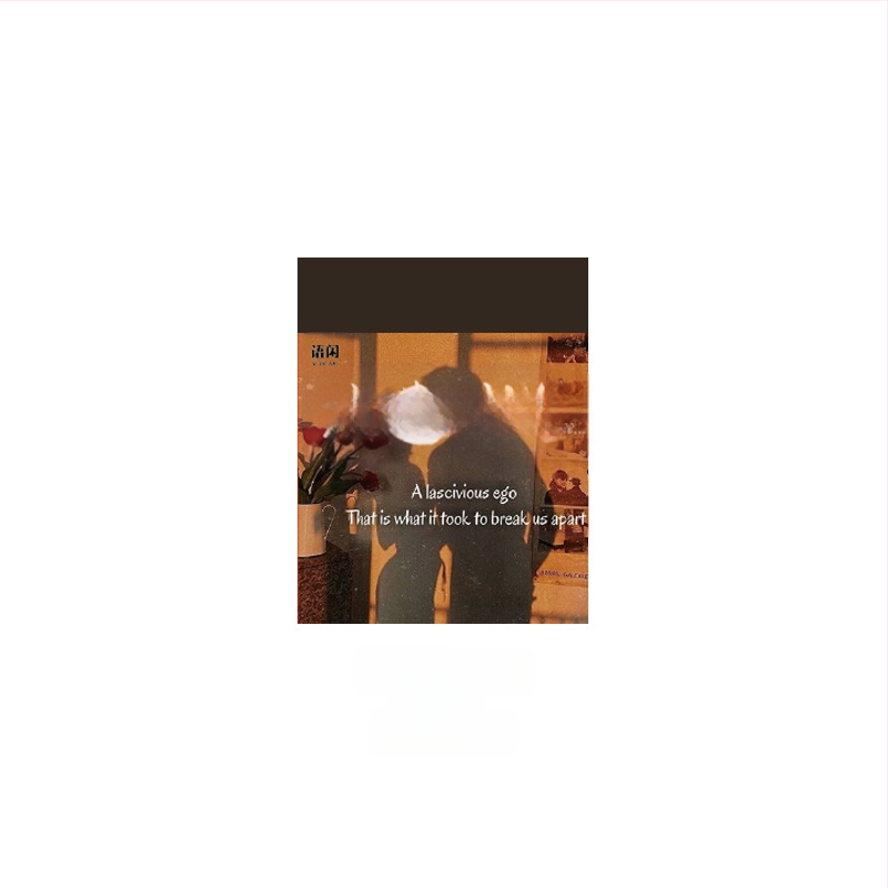 400 lapų nesikartojančios medžiagos, užrašų knygelė, koliažas, nelipnus popierius su sieros rūgštimi, specialus popierius, retro stiliaus anoniminis paštas.