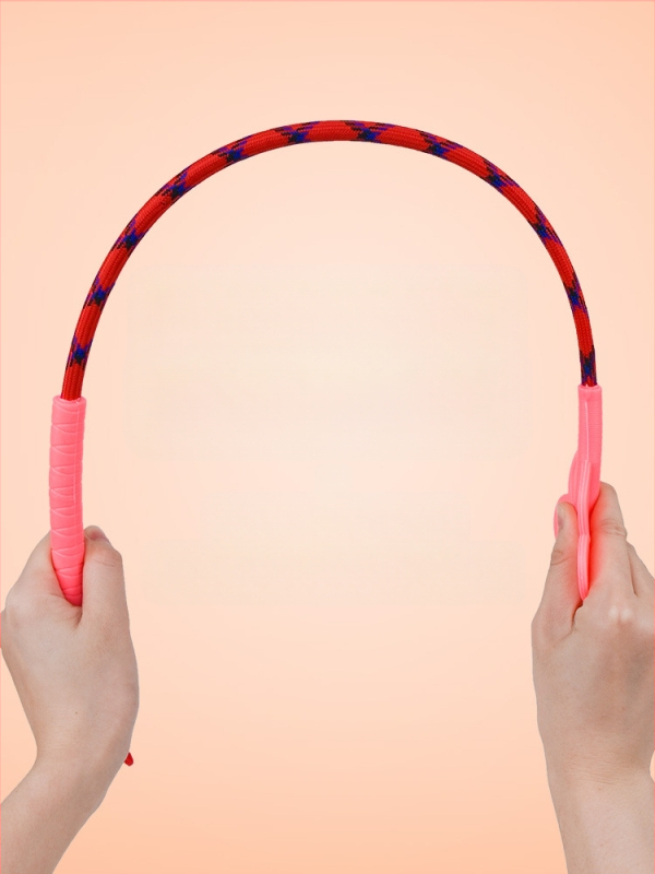 Šunų dresavimo lazda augintiniams, šunų dresavimo lazda, „Love Whip“ dresūra, šunų švietimas, ne šunų reikmenys, nemokamas pristatymas