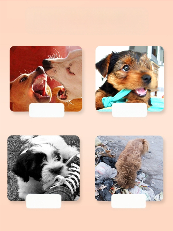 Šunų dresavimo lazda augintiniams, šunų dresavimo lazda, „Love Whip“ dresūra, šunų švietimas, ne šunų reikmenys, nemokamas pristatymas