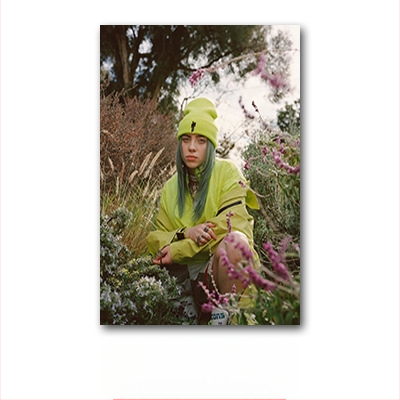 Aliexpressi piiriülene Billie Eilishi kuulsuste plakat, Billie Eilishi Euroopa ja Ameerika tegelaskujude magamistoa ja elutoa seinapilt