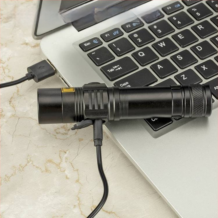 SV 38 365nm UV-taskulamp rahatähtede kontrollimiseks Kassisammallamp Aspergillus flavus UV-violetse valgusega tuvastuslamp