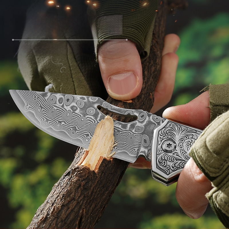 Õues kasutatav voltimisnuga 67-kihiline Damaskuse voltimisnuga kaasaskantav multifunktsionaalne nuga majapidamispuuviljakoorija Amazon