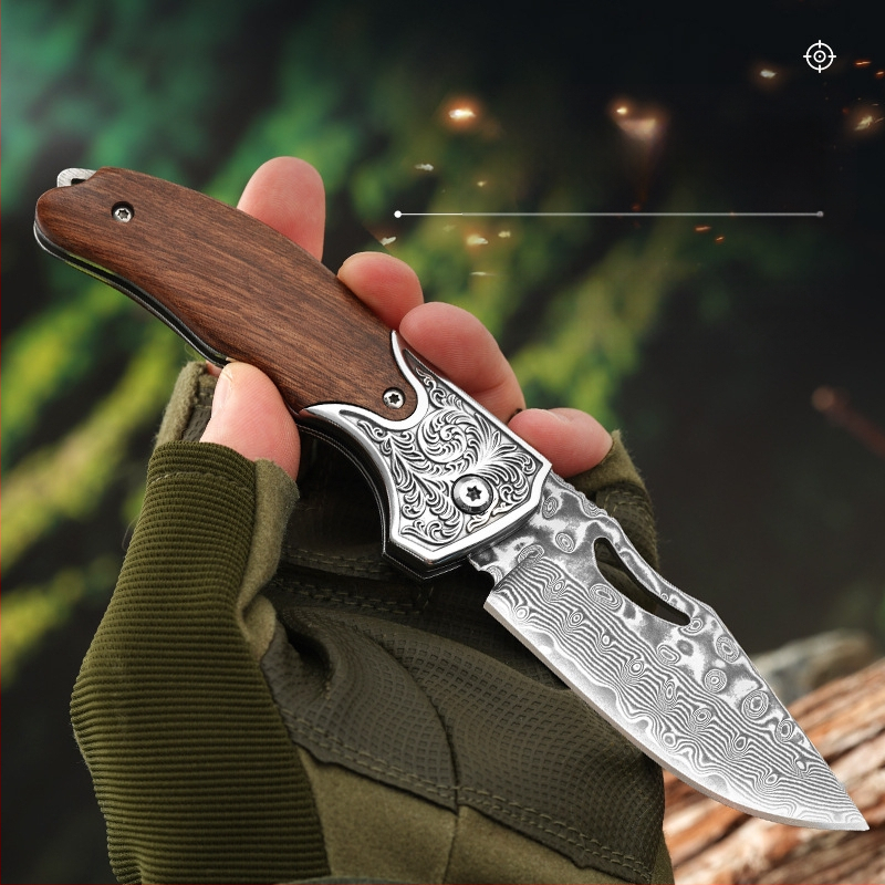 Õues kasutatav voltimisnuga 67-kihiline Damaskuse voltimisnuga kaasaskantav multifunktsionaalne nuga majapidamispuuviljakoorija Amazon