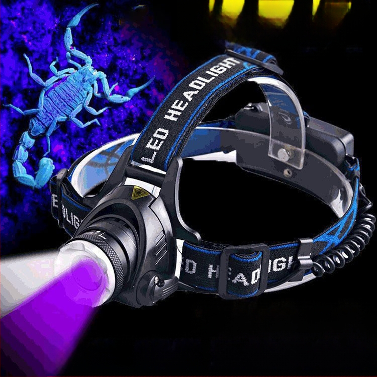 Skorpionlamp kaheotstarbeline spetsiaalne skorpionlamp lilla valgus tugev valgus üliere pea külge kinnitatav laadiv esilatern kahe valgusallikaga