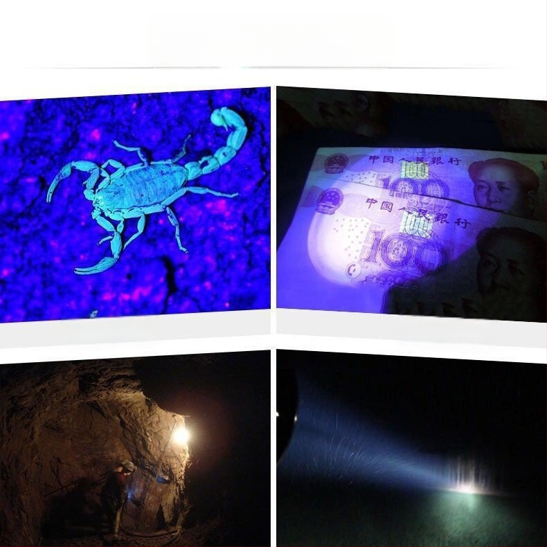 Skorpionlamp kaheotstarbeline spetsiaalne skorpionlamp lilla valgus tugev valgus üliere pea külge kinnitatav laadiv esilatern kahe valgusallikaga