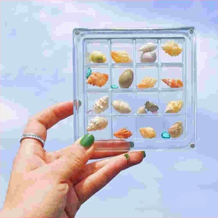 Šventinė kūrybinė akrilinė permatoma kriauklių laikymo dėžutė Pajūrio akmens maža kriauklių kolekcija magnetinė laikymo dėžutė