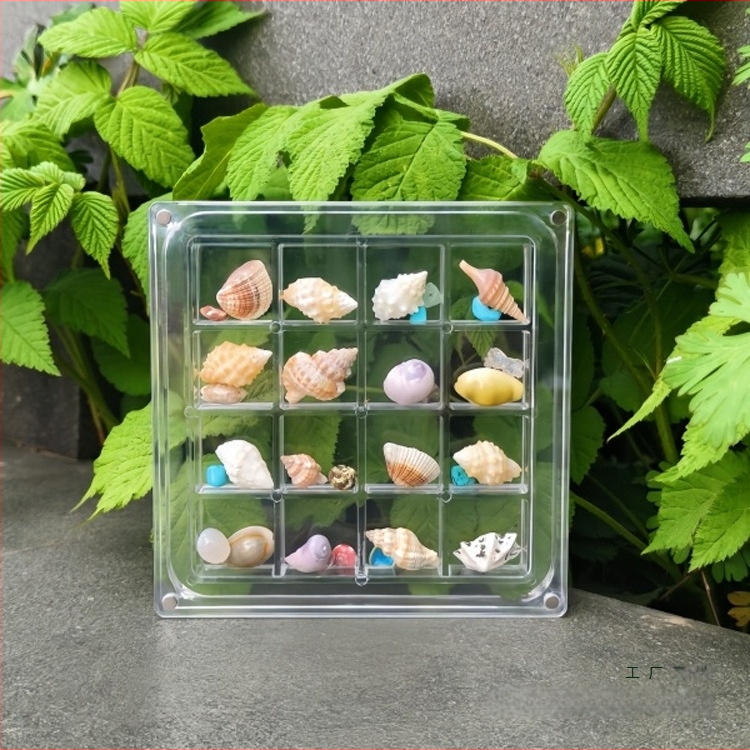 Šventinė kūrybinė akrilinė permatoma kriauklių laikymo dėžutė Pajūrio akmens maža kriauklių kolekcija magnetinė laikymo dėžutė