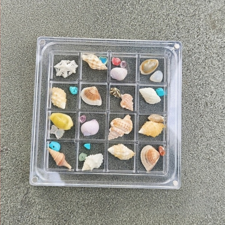 Šventinė kūrybinė akrilinė permatoma kriauklių laikymo dėžutė Pajūrio akmens maža kriauklių kolekcija magnetinė laikymo dėžutė