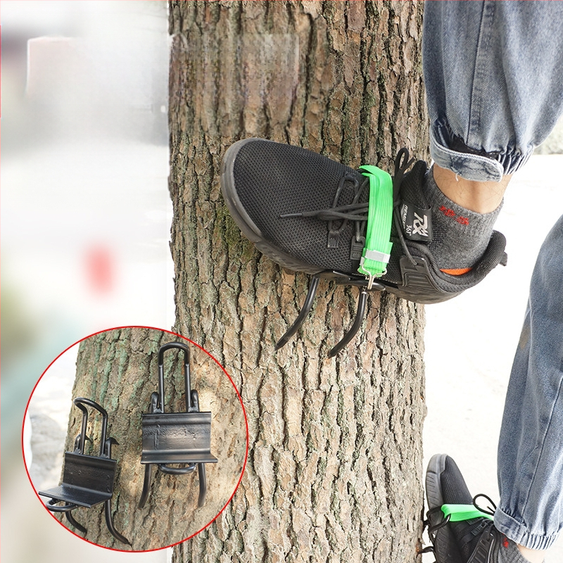 ✅ Puude otsa ronimise jalarihmad, kassiküünisega puuronimise tööriist, multifunktsionaalsed libisemiskindlad puude otsa ronimise jalapandlaga kingad