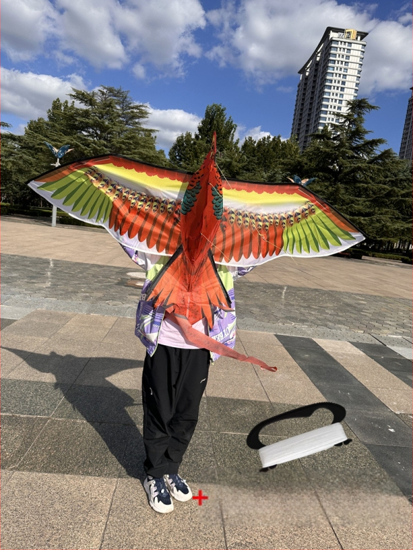 Jauns simulācijas pūķis bērniem, ērgļa lidojošs putnu brīze, viegli lidojams, vairumtirdzniecības dinamiskā simulācijas pūķis Veifangas pūķu ražotājs