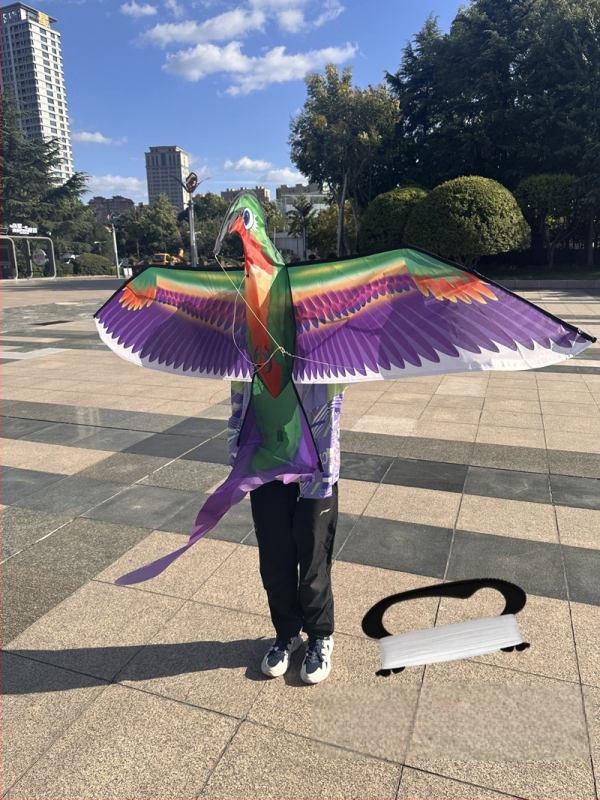 Jauns simulācijas pūķis bērniem, ērgļa lidojošs putnu brīze, viegli lidojams, vairumtirdzniecības dinamiskā simulācijas pūķis Veifangas pūķu ražotājs