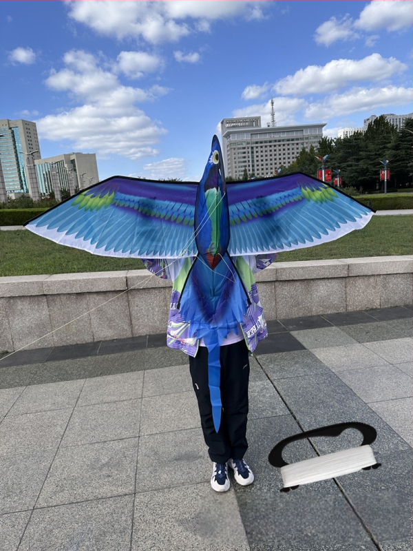 Jauns simulācijas pūķis bērniem, ērgļa lidojošs putnu brīze, viegli lidojams, vairumtirdzniecības dinamiskā simulācijas pūķis Veifangas pūķu ražotājs