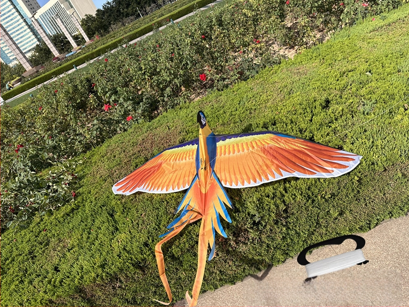 Jauns simulācijas pūķis bērniem, ērgļa lidojošs putnu brīze, viegli lidojams, vairumtirdzniecības dinamiskā simulācijas pūķis Veifangas pūķu ražotājs